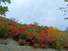 -玉渡山自然风景区