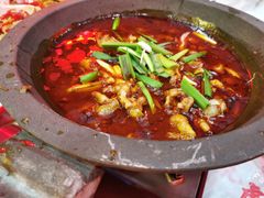 石锅牛蛙-虎虎龙虾大排档(双井店)