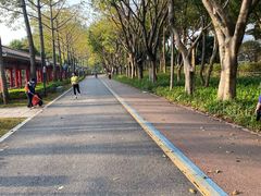 -顺峰山公园