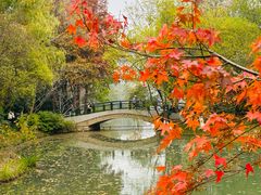 -青枫公园