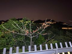 -梅峰山地公园