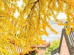 -宝通禅寺