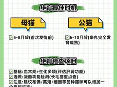-美联众合动物医院·24h转诊中心