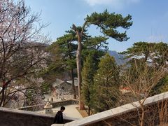 -妙峰山风景名胜区