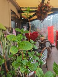 点击看大图 -伊莎贝拉婚礼庄园(顾村店)