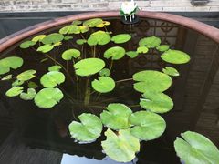 -瓯菜排档·温州海鲜(玕南店)