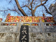 -大槐树寻根祭祖园