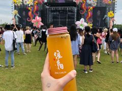 -上海国际音乐村