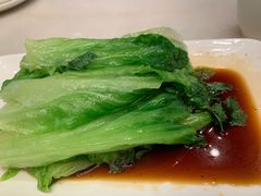 -金鼎轩(方庄天坛店)