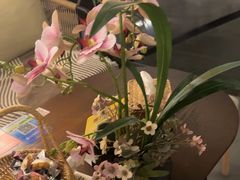 -施奈儿.洗头頭療.按摩SPA.采耳(上梅林店)