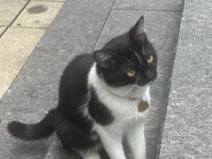-天河潭旅游度假区