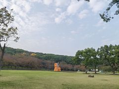 -苏州上方山国家森林公园