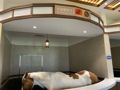 -中国马镇舞马世界主题乐园