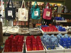 -猫咪博物馆(顶澳仔猫街店)