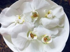 -Biteology Artisan Cakes(红庄·国际文化保税创新园店)