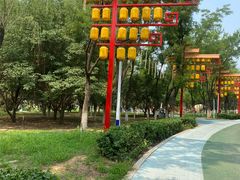 -青龙湖公园