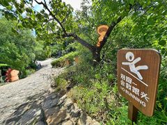 -云峰山自然风景区