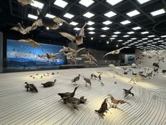 -Behring World of Animals(上海自然博物馆店)