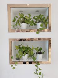 -MIVI野生眉纹绣纹眉