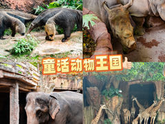 -长鹿旅游休博园