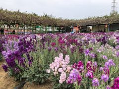 -盈香心动乐园