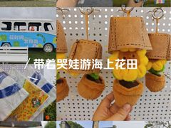 -杭州湾海上花田景区