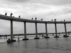 -人民防洪胜利纪念塔