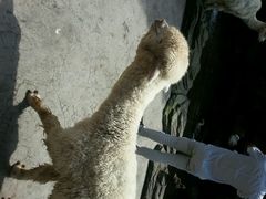 android_upload_pic-碧峰峡风景区