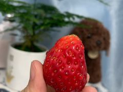 -PAGODA百果园(深圳天琴阁店)