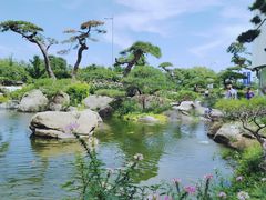 -罗红摄影艺术馆