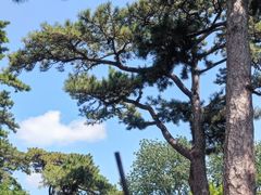 -香山公园