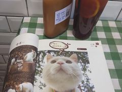-赏饮·WILL TEA