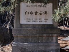 -白水寺森林公园