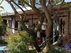 -天然居(伦教店)