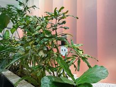 -渔芙南(三里屯店)