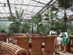 -陶然居·重庆菜(生态园店)