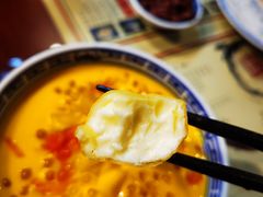 炸牛奶-捷信牛奶甜品世家(五道口店)