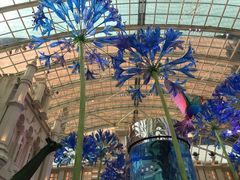 -澳门旅游塔360°旋转餐厅(南湾湖广场店)