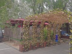 -塞上渔乡·农家菜·虹鳟鱼