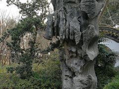 -汇龙潭