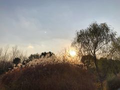 -梁鸿国家湿地公园