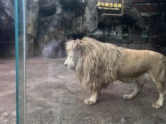 -南昌动物园