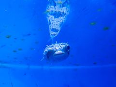 -常州海昌海洋探索馆