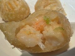 -点都德·毕德寮