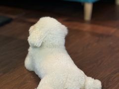 -默迹咖啡馆