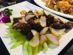 -云中小雅