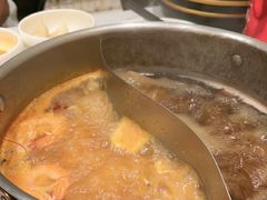 -小茉庐和牛自助火锅(龙湖万达店)