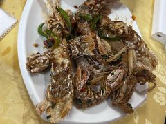 -阳江餐厅·30年老字号·粤菜海鲜大排档