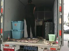 -骆驼日式搬家收纳整理