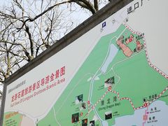 -龙游石窟